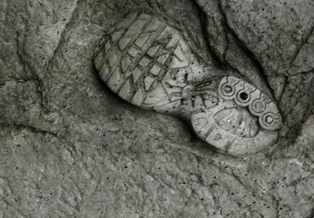 Anne tilby plinth fossil detail