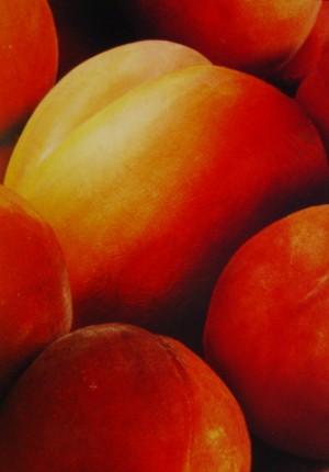 tilby twincheeks peach